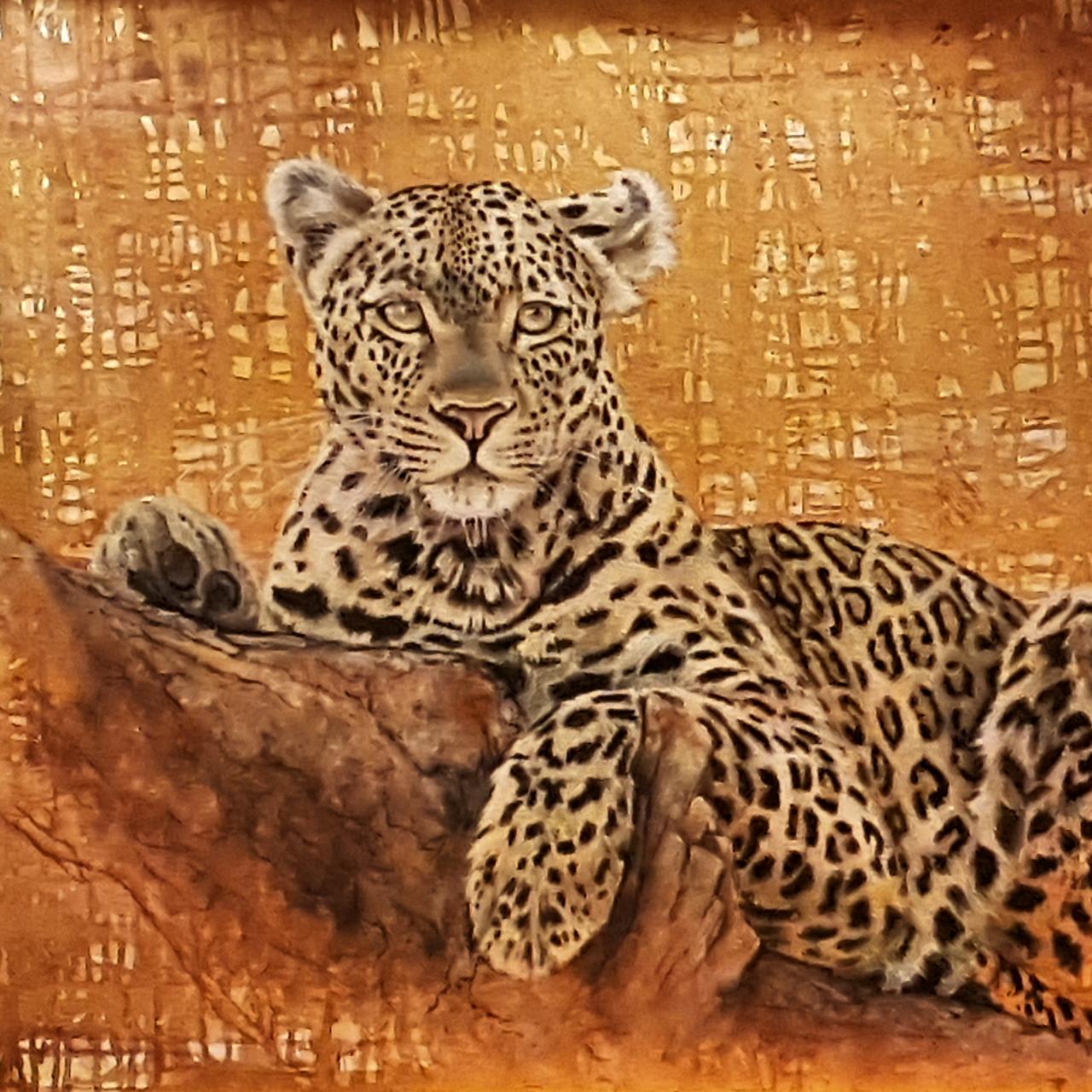 whatsapp image 2026 01 14 at 20.29.00