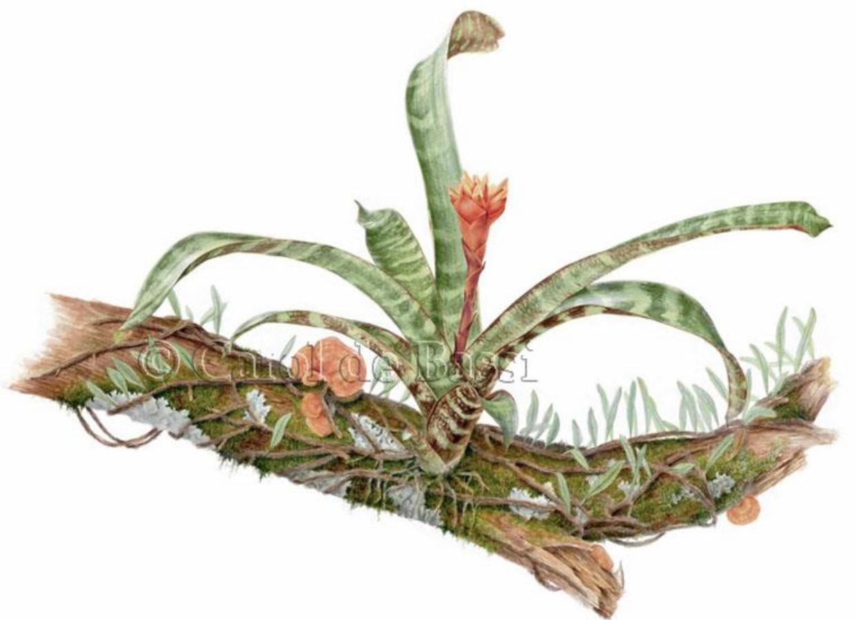 whatsapp image 2026 01 14 at 21.33.17