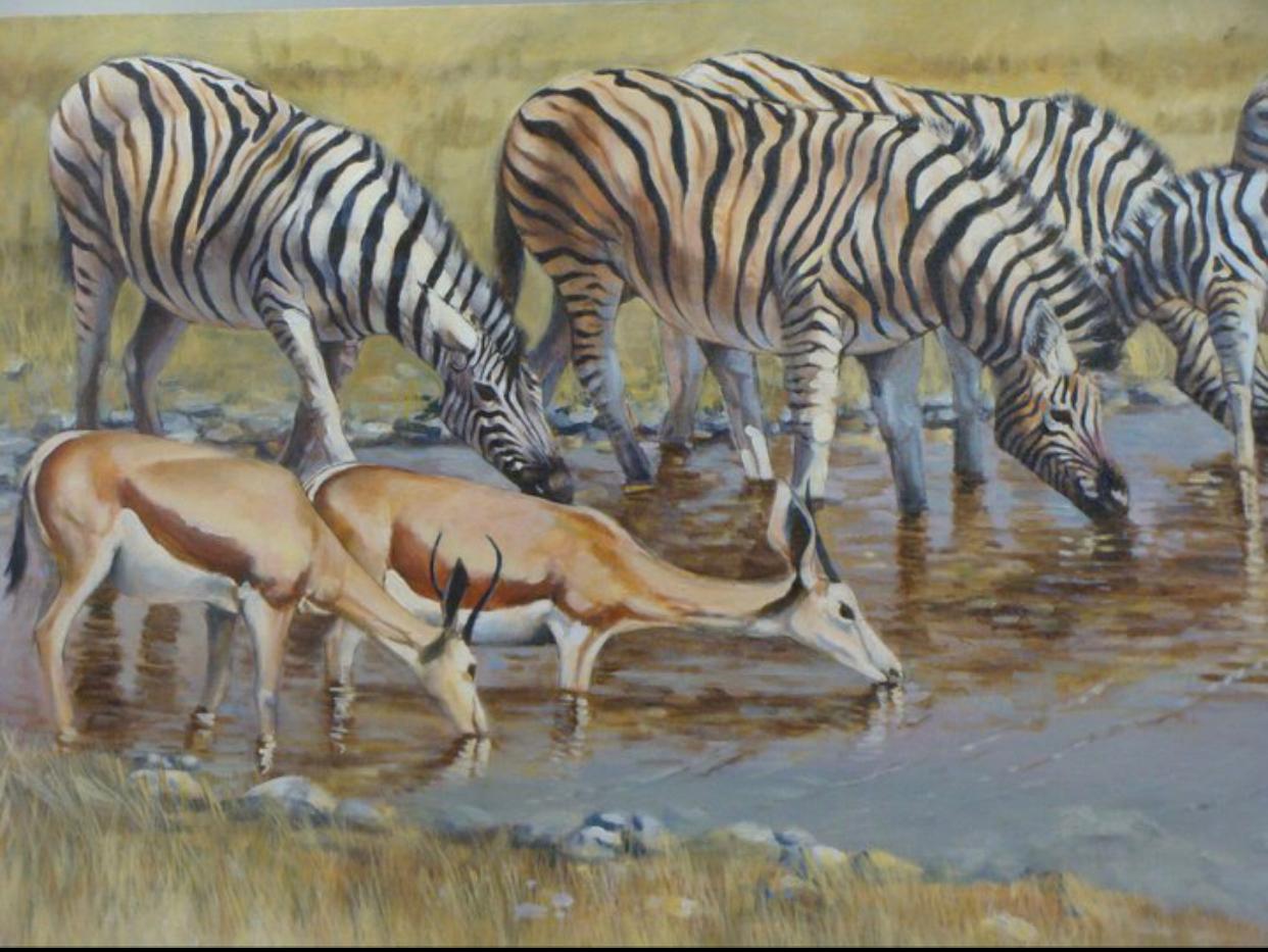 whatsapp image 2026 01 22 at 18.32.43